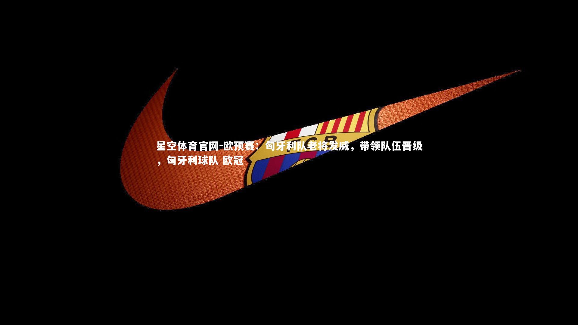 欧预赛：匈牙利队老将发威，带领队伍晋级，匈牙利球队 欧冠